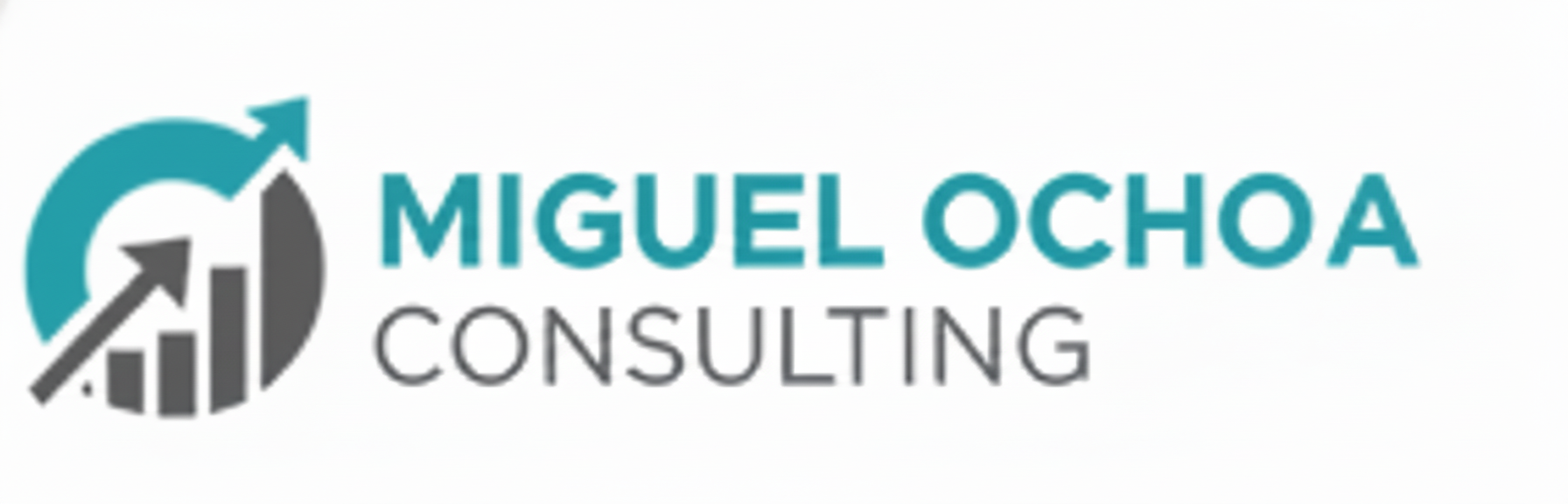Miguel ochoa Consulting